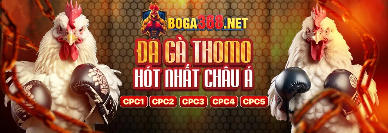 Hoàn trả hàng tuần