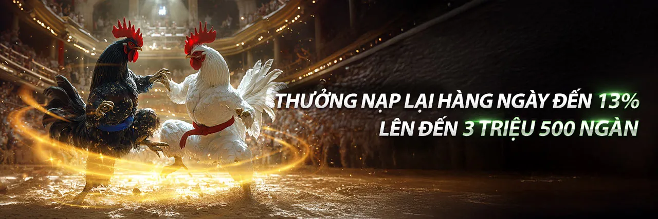 Đá Gà Trực Tuyến 88now