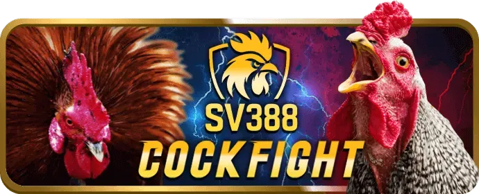Chọn phiên bản ứng dụng 88now